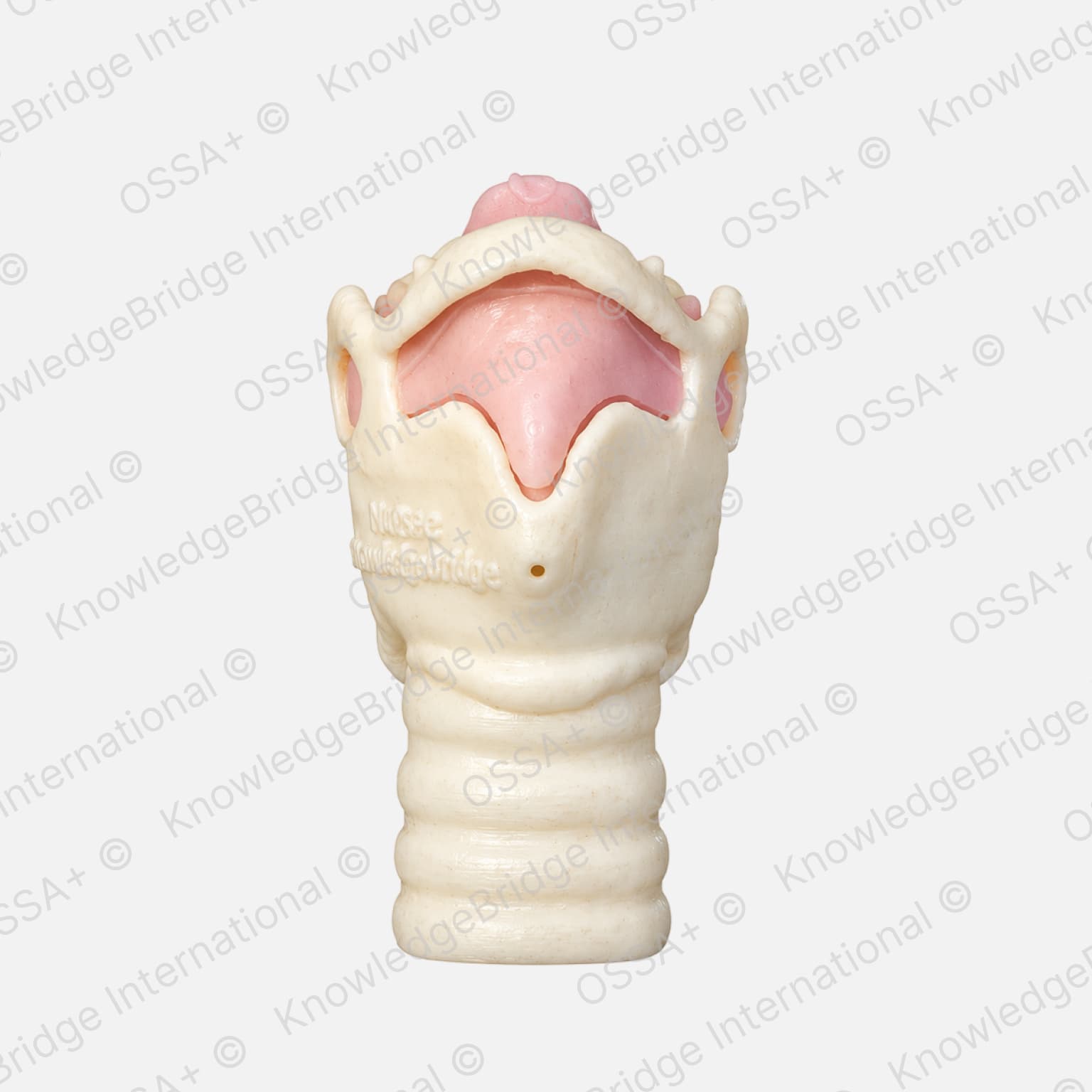 Medical simulation model